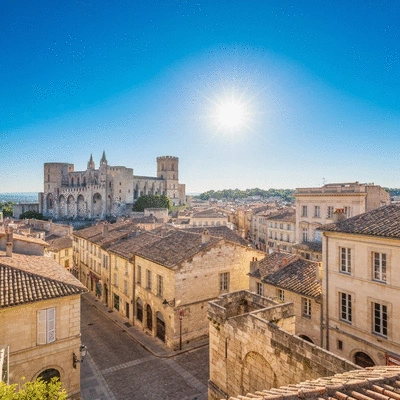 Avignon cityscape with Palais des Papes, illustrating local content strategy
